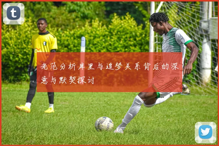 老范分析库里与追梦关系背后的深意与默契探讨