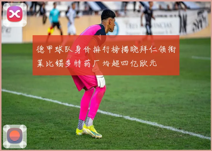 德甲球队身价排行榜揭晓拜仁领衔莱比锡多特药厂均超四亿欧元